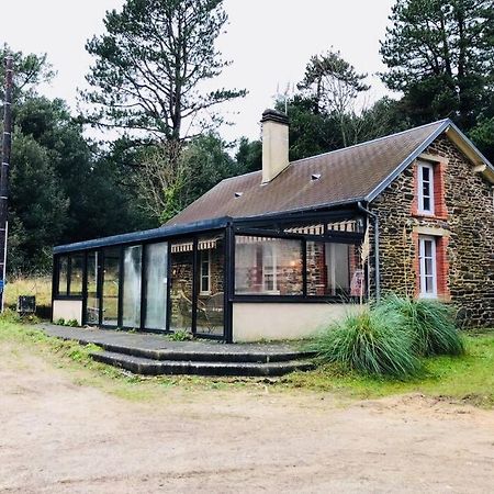 La Vallee Entre Dunes Et Mer, Un Veritable Havre De Paix 巴讷维尔-卡特里特 外观 照片