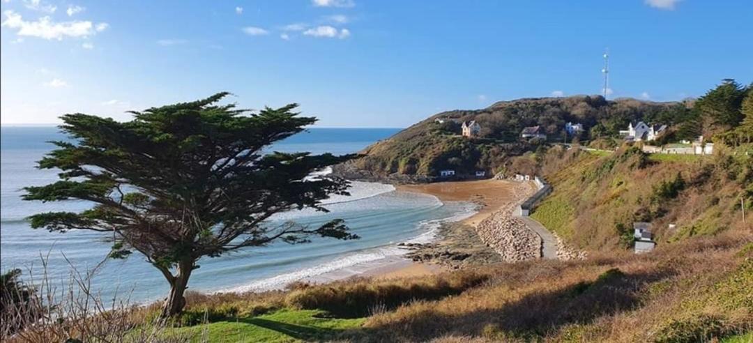 La Vallee Entre Dunes Et Mer, Un Veritable Havre De Paix 巴讷维尔-卡特里特 外观 照片